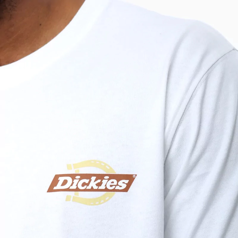 T-Shirt Dickies Ruston S/S White/Pale Green DK0A4XDCH801 