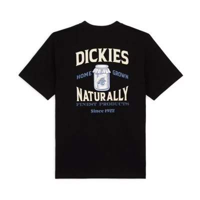 T-Shirts T-Shirt Dickies Manches Courtes Elliston Noir DK0A4YRMBLK1 - Dickies à 40,00 € chez Hype