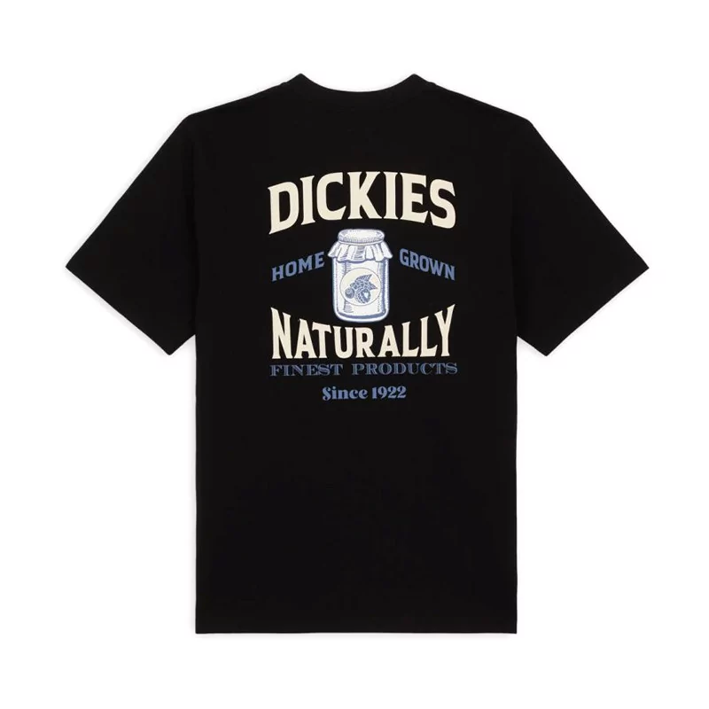 Acheter T-Shirt Dickies Manches Courtes Elliston Noir DK0A4YRMBLK1 - Hype Shop en ligne Sneakers & Streetwear
