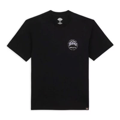 T-Shirts  T-Shirt Dickies Stanardsville DK0A4YR2BLK1 - Dickies  à  40,00 € chez Hype