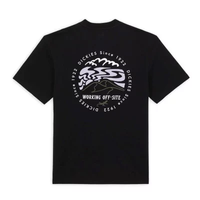 T-Shirts  T-Shirt Dickies Stanardsville DK0A4YR2BLK1 - Dickies  à  40,00 € chez Hype