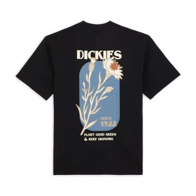 T-Shirts  T-Shirt Dickies Manches Courtes Herndon DK0A4YR5BLK1 - Dickies  à  40,00 € chez Hype